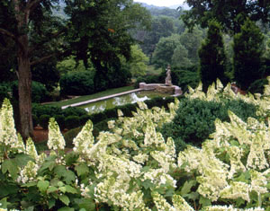 Cheekwood Botanical Garden And Museum Of Art