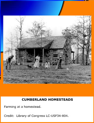 Cumberland Homesteads